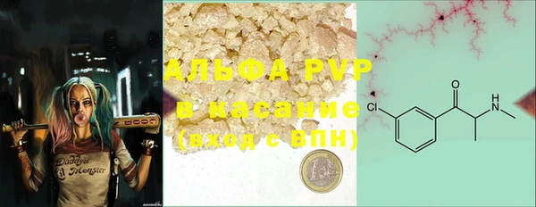 винт Горно-Алтайск