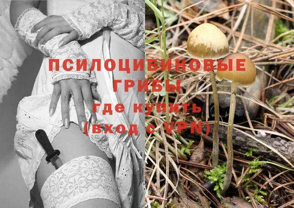 винт Горно-Алтайск