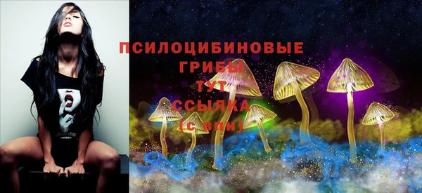 тгк Вязники