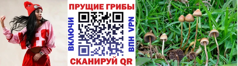 Псилоцибиновые грибы мухоморы  Городище 